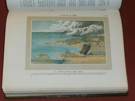 Le Monde Vivant : Histoire Naturelle illustrée (5 volumes).. COUTIERE, Henri.