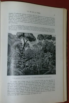 Le Monde Vivant : Histoire Naturelle illustrée (5 volumes).. COUTIERE, Henri.