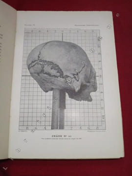 Anthropologie Bolivienne (3 volumes).. CHERVIN, Arthur.