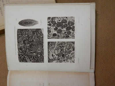 Introduction à l'étude pétrographique des roches sédimentaires (2 volumes).