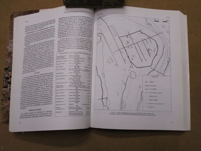 Villes et agglomérations urbaines antiques du sud-ouest de la Gaule, histoire et archéologie (deuxième colloque Aquitania, Bordeaux, 13-15 septembre 1990).
