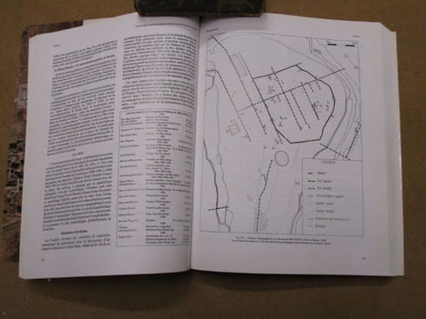 Villes et agglomérations urbaines antiques du sud-ouest de la Gaule, histoire et archéologie (deuxième colloque Aquitania, Bordeaux, 13-15 septembre ...