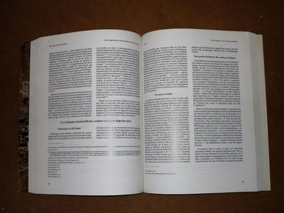 Villes et agglomérations urbaines antiques du sud-ouest de la Gaule, histoire et archéologie (deuxième colloque Aquitania, Bordeaux, 13-15 septembre 1990).