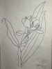 dessin original composition florale fleurs et feuilles. Pierre André Benoit (PAB)