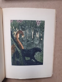 LE LIVRE DE LA JUNGLE- LE SECOND LIVRE DE LA JUNGLE.
