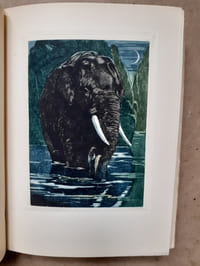 LE LIVRE DE LA JUNGLE- LE SECOND LIVRE DE LA JUNGLE.