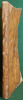 JACOBI CONCENATII JURISCONS. QUAESTIONUM JURIS SINGULARIUM LIBRI QUATOR. In quibus causarum forensium apices Iudiciorum difficillimi nodi ac           ...