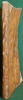 JACOBI CONCENATII JURISCONS. QUAESTIONUM JURIS SINGULARIUM LIBRI QUATOR. In quibus causarum forensium apices Iudiciorum difficillimi nodi ac           ...