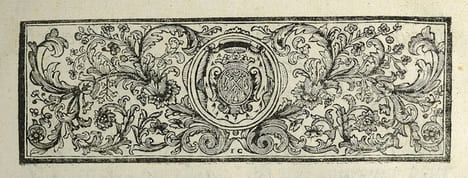 OBSERVATIONS SUR L’ORDONNANCE DU MOIS DE FÉVRIER 1731 ET QUESTIONS REMARQUABLES SUR LA MATIÈRE DES DONATIONS; 1èrePartie: ORDONNANCES DE LOUIS XV Roy ...