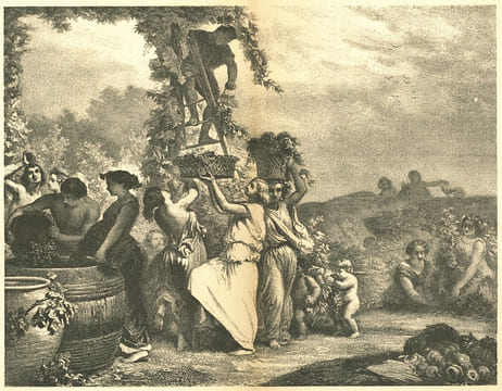 LE PALAIS DU CONSEIL D’ÉTAT ET DE LA COUR DES COMPTES, avec quatre fac-similé et une eau-forte. [Conseil d’État - Cour des comptes], VACHON (Marius)