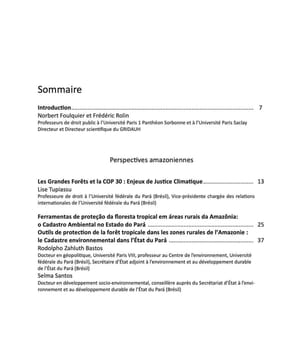 Les Cahiers du GRIDAUH, Numéro 35/2025 : LES GRANDES FORÊTS ET LA LUTTE CONTRE LE RÉCHAUFFEMENT CLIMATIQUE Perspectives croisées Brésil / Europe / ...