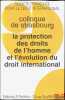 LA PROTECTION DE DROITS DE L’HOMME ET L’ÉVOLUTION DU DROIT INTERNATIONAL, Colloque de Strasbourg (29-31mai 1997), coll. de la Société Française pour ...