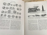 Album Historique - E.O
