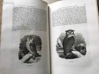 Muséum d’Histoire Naturelle, de la Ménagerie, des Serres, des Galeries de Minéralogie et d’Anatomie et de la Vallée Suisse