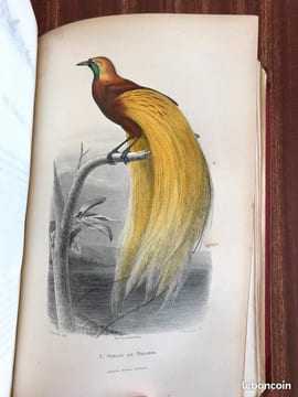 Galerie d'histoire naturelle tirée des œuvres complètes de Buffon : 32 gravures couleurs. undefined
