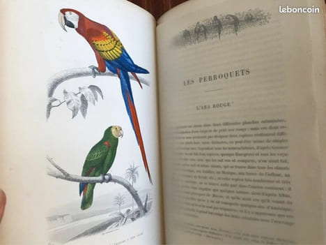 Galerie d'histoire naturelle tirée des œuvres complètes de Buffon : 32 gravures couleurs. undefined