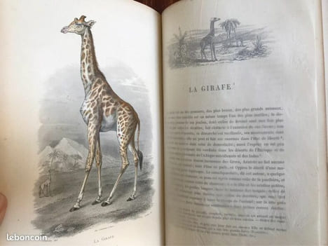 Galerie d'histoire naturelle tirée des œuvres complètes de Buffon : 32 gravures couleurs. undefined