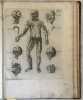 SYLLABUS SEU INDEX  OMNIUM PARTIUM  CORPORIS HUMANI  FIGURIS ILLUSTRATUS  IN USUM CHIRURGIAE STUDIOSORUM . Abraham Chovet (1704-1790)