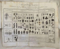 ESSAI D'UNE ICONOGRAPHIE ELEMENTAIRE ET PHILOSOPHIQUE  DES VEGETAUX AVEC UN TEXTE EXPLICATIF. Pierre Jean Francis Turpin