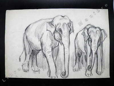 2 Elephants de cirque. Dessin original de FERNEL.