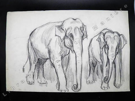 2 Elephants de cirque. Dessin original de FERNEL. . FERNEL, Fernand.