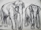 2 Elephants de cirque. Dessin original de FERNEL. . FERNEL, Fernand. 