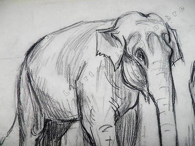 2 Elephants de cirque. Dessin original de FERNEL.