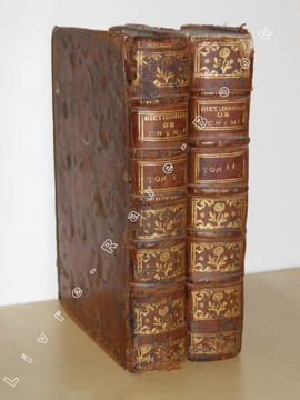 Dictionnaire de Chymie, contenant la Théorie et la Pratique de cette Science, son application à la Physique, à l'Histoire Naturelle, à la Médecine et ...