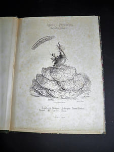 Album provençal. Etudes de moeurs locales dessinées par Letuaire.