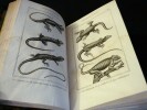 Oeuvres. Comprenant l'Histoire naturelle des quadrupèdes ovipares, des serpens, des poissons et des cétacés. . LACEPEDE, Bernard-Germain Etienne, ...