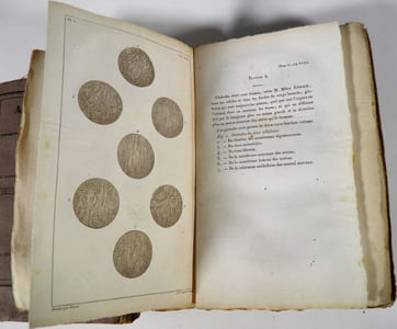 Anatomie générale appliquée à la physiologie et à la médecine. Nouvelle édition contenant les additions publiées précédemment par Béclard, et augmentée d’un grand nombre de notes nouvelles par F. Blandin.