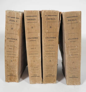 Anatomie générale appliquée à la physiologie et à la médecine. Nouvelle édition contenant les additions publiées précédemment par Béclard, et augmentée d’un grand nombre de notes nouvelles par F. Blandin.