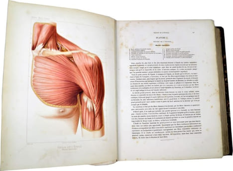 Traité iconographique des maladies chirurgicales. Précédé d'une introduction par M. Velpeau. Dessins d'après nature par MM. Bion, Léveillé et Beau. . ...