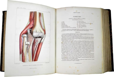Traité iconographique des maladies chirurgicales. Précédé d'une introduction par M. Velpeau. Dessins d'après nature par MM. Bion, Léveillé et Beau. . ...