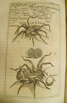 Opera Omnia medico-practica, et anatomica.  . [BAGLIVI, Georgii] BAGLIVI, Georgio.