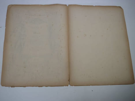 Alphonse Daudet. Portrait photographique, cliché de Carjat. Galerie contemporaine, littéraire, artistique. . CARJAT ; GOUPIL et Cie ; DELORME, R.