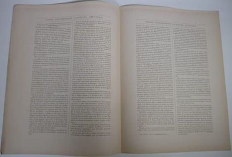 Sainte-Beuve. Portrait photographique, cliché de Bertall. Galerie contemporaine, littéraire, artistique. . BERTALL ; GOUPIL et Cie ; Vendryes, Ch.