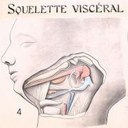 Image de livre