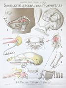 Image de livre