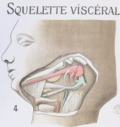 Image de livre
