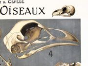 Image de livre