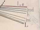 Hémosporidies du Paludisme. Plasmodium malariae (P.m.) Vivax (P.v.) falciparum (Pl). DESSIN ORIGINAL  HISTOIRE NATURELLE  CABINET DE CURIOSITÉS  ...