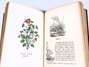 Image de livre