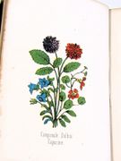 Image de livre