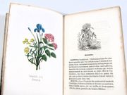Image de livre