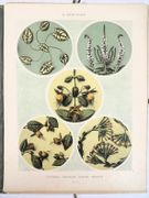Image de livre