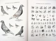 Image de livre