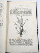 Image de livre