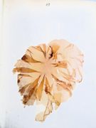 Image de livre