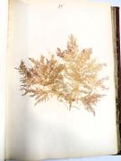 Image de livre